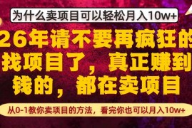 为什么真正賺到钱的都在卖项目，从0-1教你卖项目的方法，看完你也可以月入10w 【揭秘】