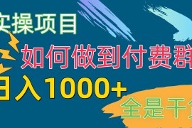 （10303期）[实操项目]付费群赛道，日入1000 