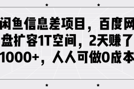 闲鱼信息差项目，百度网盘扩容1T空间，2天赚了1000 ，人人可做0成本