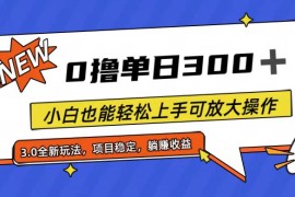 （11490期）全程0撸，单日300 ，小白也能轻松上手可放大操作