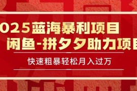 （15359期）2025 最新闲鱼蓝海暴利项目 快速粗暴单号日入1000 ，保姆级教程