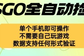 自动挂G捡漏，不用自己挂G不用玩游戏，一个手机即可操作，新手小白轻松月入1W 【揭秘】