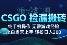 9月最新游戏搬砖，CSGO纯挂机，不需要玩游戏，实现真挂机，月入1W 