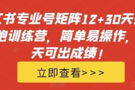 小红书专业号矩阵12 30天引流陪跑训练营，简单易操作，15天可出成绩!