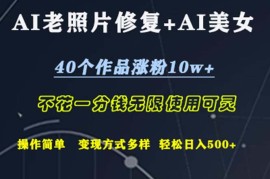 （12489期）AI老照片修复 AI美女玩发 40个作品涨粉10w  不花一分钱使用可灵 操…