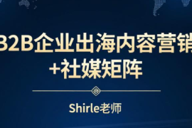 shirle老师·B2B企业出海内容营销 社媒矩阵