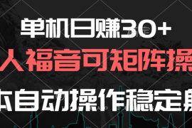 （10277期）单机日赚30 ，懒人福音可矩阵，脚本自动操作稳定躺赚