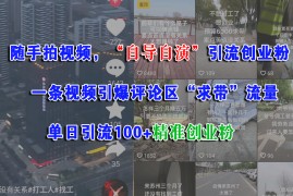 （15111期）随手拍视频，“自导自演”引流创业粉， 一条视频引爆评论区“求带”流量，单日引流100 精准创业粉
