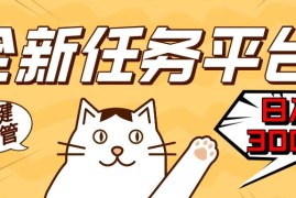 （13489期）全新任务平台一键托管 日入300 轻松获取额外收入的机会