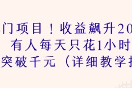 冷门项目！收益飙升200% 有人每天只花1小时 收益突破1k(详细教学指南)