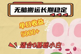 无脑搬运，长期稳定项目，单日收益5000 ，小白0基础可做