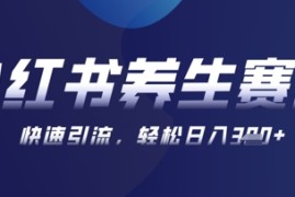 AI 可画生成小红书养生作品，新手暴力起号，矩阵操作，轻松日入3张 