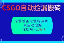 CSGO自动捡漏搬砖，当天操作当天见结果，无需了解游戏，包教包会包落地