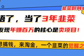 （10759期）悟了，当了3年韭菜，才发现网创圈年赚100万的核心是卖项目，含泪分享！