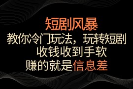 短剧风暴，教你冷门玩法，玩转短剧，收钱收到手软