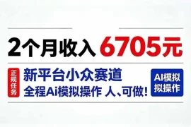 2个月收入6705元，最新平台小众赛道，全程Ai操作人人可做！
