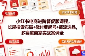 小红书电商进阶督促版课程，长尾搜索布局 微付费起号 截流选品，多赛道商家实战案例全程拆解
