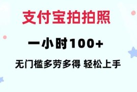 支付宝拍拍照一小时100 无任何门槛多劳多得一台手机轻松操做【揭秘】