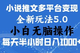 （11323期）2024年6月份一件分发加持小说推文暴力玩法 新手小白无脑操作日入1000  …