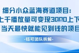 小众蓝海赛道项目：当天变现1k 适合新手操作  适合长期玩