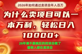 一单净利润1K ，26年想年入100个W，死磕卖项目就够了【揭秘】