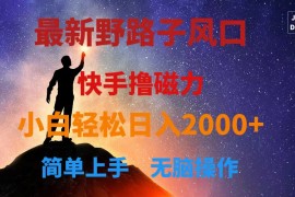 （10754期）最新风口！快手撸磁力，野路子，小白无脑操作日入2000 