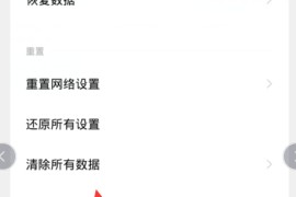 手机怎么格式化(vivo手机怎么格式化恢复出厂设置)