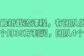 2024最新截流课程，有团队做截流一个月35万利润，团队4个人