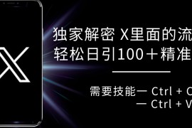 独家解密 X 里面的流量密码，复制粘贴轻松日引100 粉，精准迅速获客