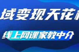 私域变现天花板，网课家教中介，只做渠道和流量，让大学生给你打工、0成本实现月入五位数