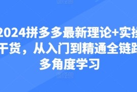2024拼多多最新理论 实操干货，从入门到精通全链路多角度学习