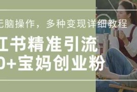 小红书混剪日引200 宝妈创业粉，简单无脑操作，多种变现详细教程