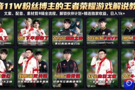 抖音11W粉丝博主的王者荣耀游戏解说教程，文案、配音、素材剪辑全流程，解锁伙伴计划 精选独家收益，日入1k 