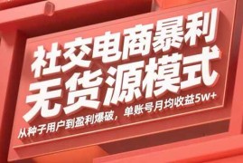 （15951期）社交电商暴利无货源模式：从种子用户到盈利爆破，单账号月均收益5w 