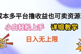 （10293期）0成本多平台撸收益也可卖资源玩法，小白轻松上手。详细教学日入500 附资源