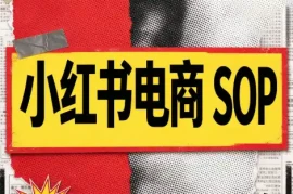 书豪必胜小红书电商sop(更新9月)