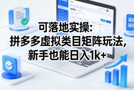 可落地实操：拼多多虚拟类目矩阵玩法，新手也能日入1k 【揭秘】