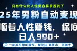 没什么比顺着人性挣钱更简单的了，男粉全自动变现，保底日入9张 【揭秘】