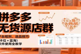 拼多多无货源店群：平台规则、选品技巧（卡位   蓝海），软件使用全教学