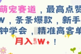 AI萌宠赛道，最高点赞57W，条条爆款，新手5分钟学会，精准高客单，月入1W 