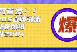 通过Boss直聘，每天轻松钓到200 多条创业大鱼的秘籍【揭秘】
