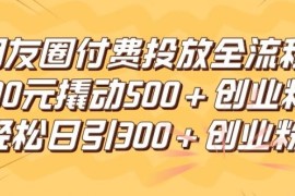 朋友圈高效付费投放全流程，100元撬动500 创业粉，日引流300加精准创业粉【揭秘】