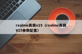 realme真我v15（realme真我V15参数配置）
