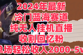 2024年最新冷门蓝海赛道，纯无人挂机直播，收割回忆粉，单场收入轻松2000-5W 