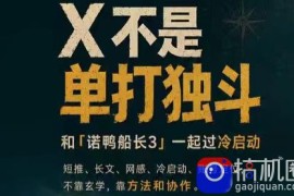 诺鸭船长3·X(Twitter)通关秘籍【飞书】