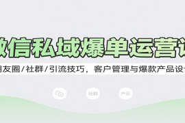 微信私域爆单运营课：朋友圈/社群/引流技巧，客户管理与爆款产品设计