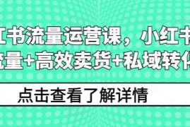 小红书流量运营课，小红书搞流量 高效卖货 私域转化