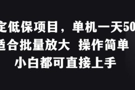 稳定低保项目，单机一天50 适合批量放大 操作简单 小白都可直接上手【揭秘】