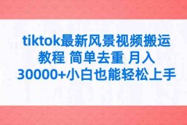 （9804期）tiktok最新风景视频搬运教程 简单去重 月入30000 附全套工具