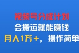 视项号分成计划会搬运就能賺钱，月入1W ，操作简单